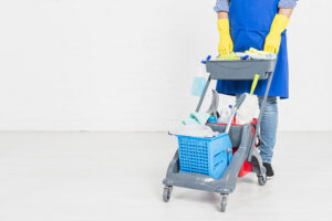 Corrosivo per pulizie domestiche